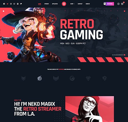 Gamer & Streamer