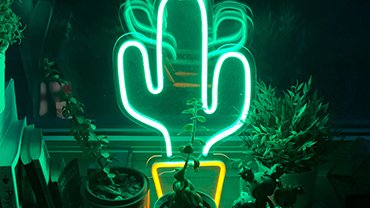 The 5 Best Neon Gadgets and Widgets for your Desk